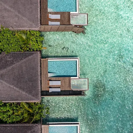 Hotel Dusitd2 Feydhoo Maldives